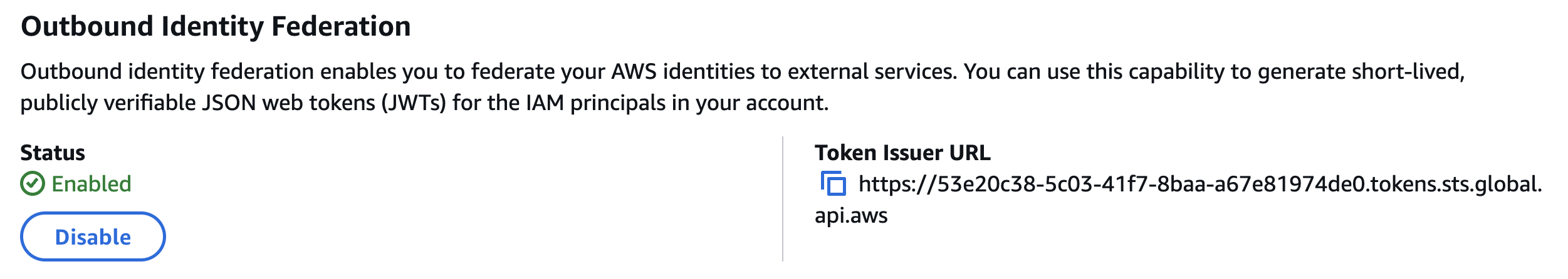 AWS IAM Outbound Identity Federation Configuration