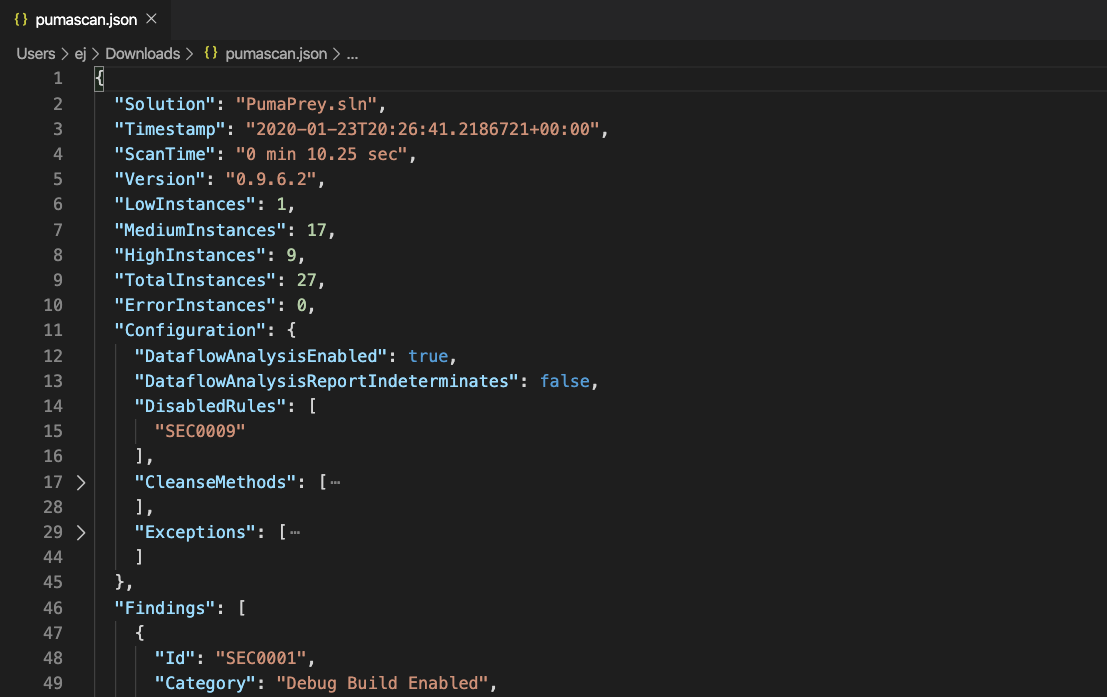 JSON Formatted Scan Results